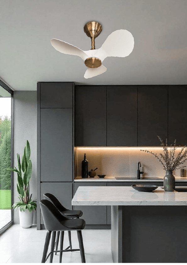 Decor Fans
